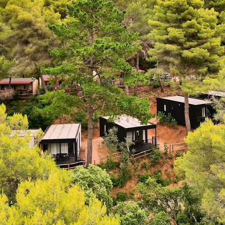 Le Pianacce Camping Village Castagneto Carducci Dış mekan fotoğraf