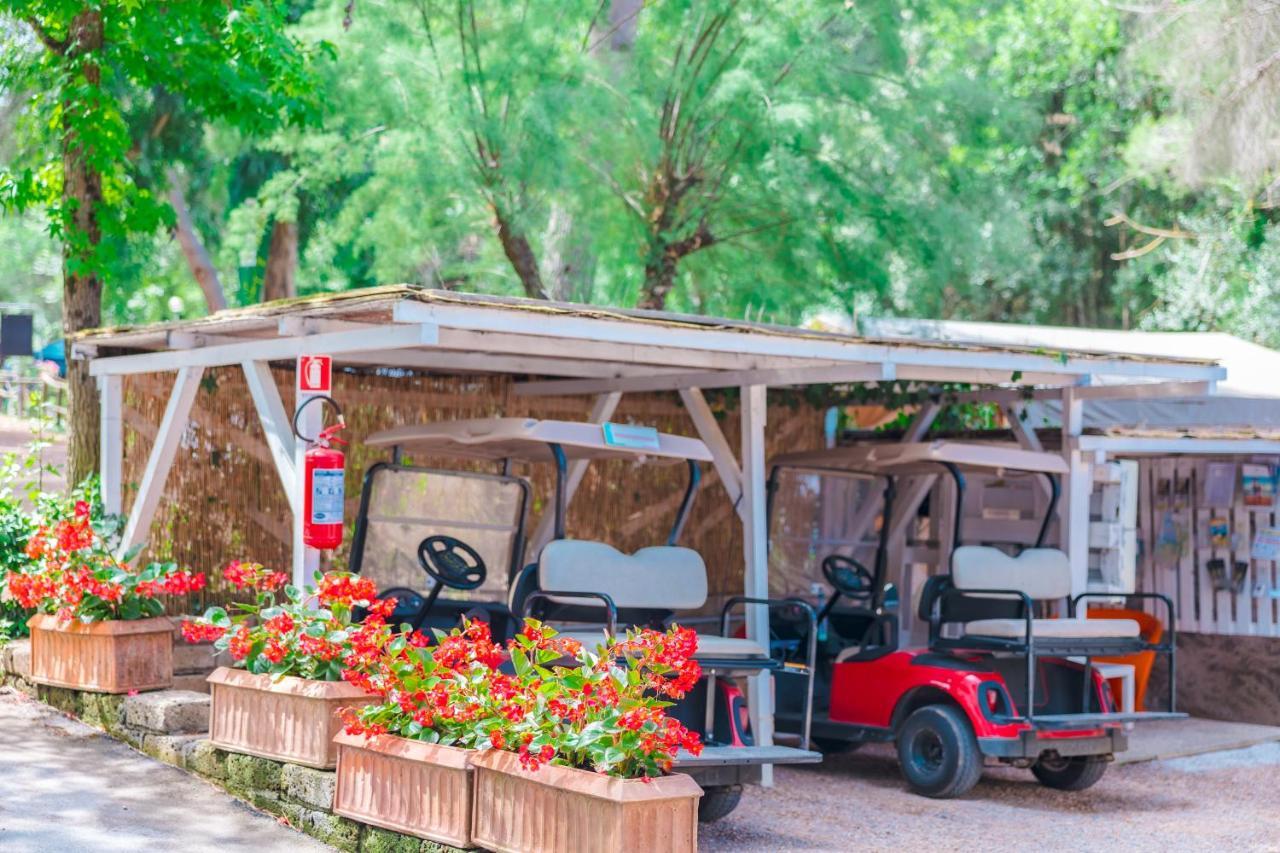 Le Pianacce Camping Village Castagneto Carducci Dış mekan fotoğraf