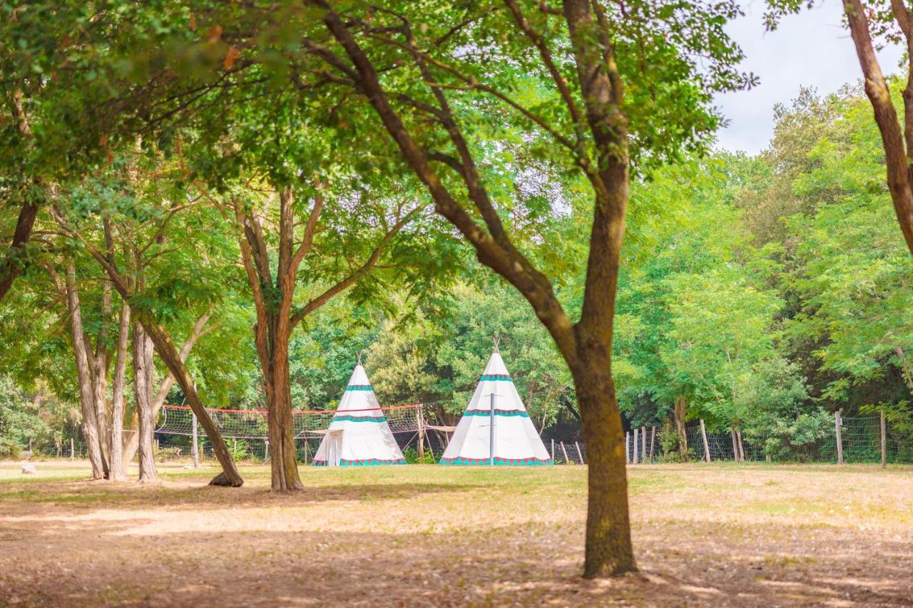 Le Pianacce Camping Village Castagneto Carducci Dış mekan fotoğraf